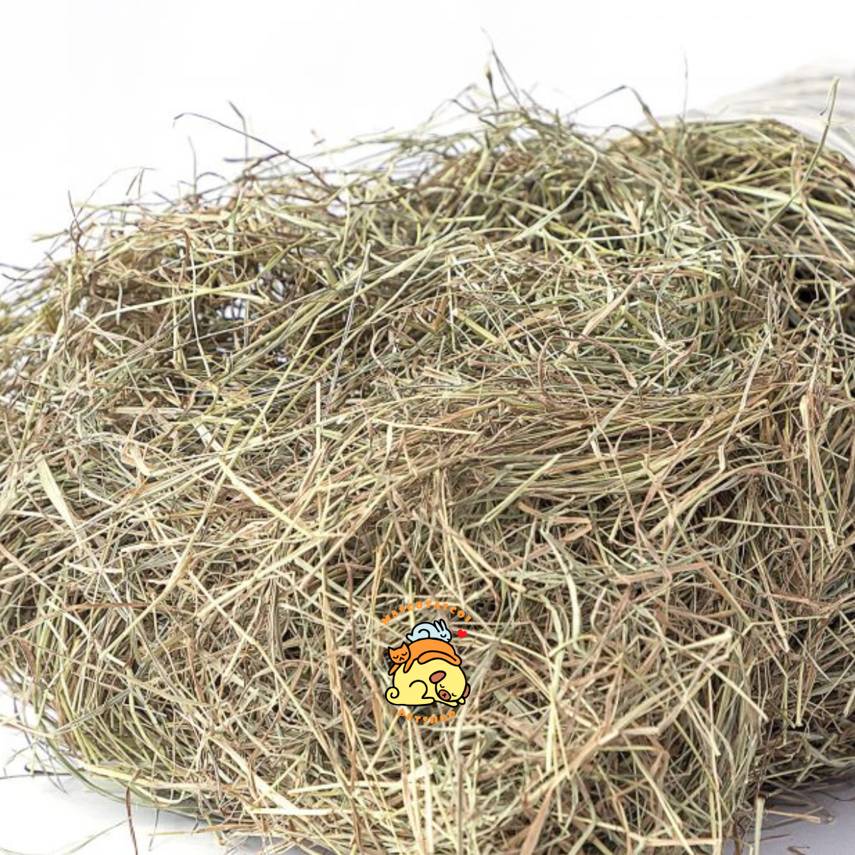 Heno pangola para conejos y cobayas heno pangola medellin, heno saludable para roedores