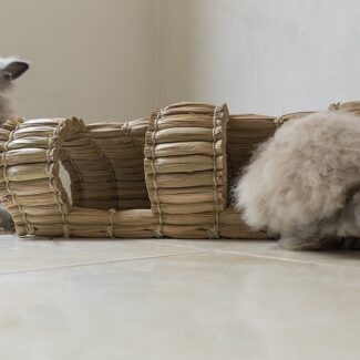 refujio natural para mascotas