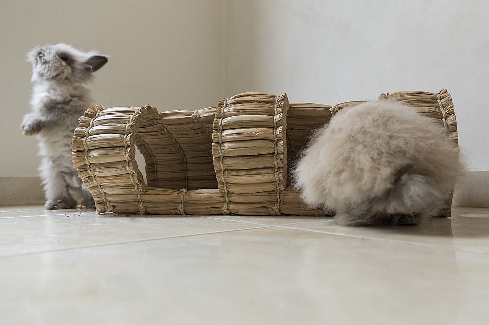 Madriguera natural para conejos refujio natural para mascotas