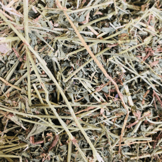 nutricion para conejos menores de 4 meses