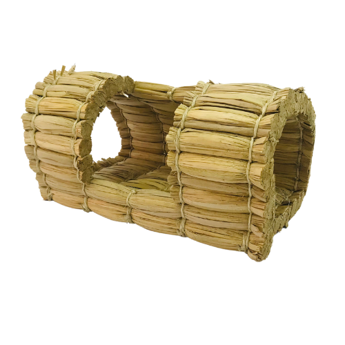 con que puede desgastar los dientes mi cobaya