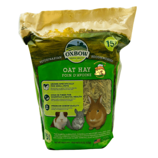 alimento antioxidante, heno para muda de pelo, heno de avena para chinchillas