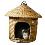 Casa natural para conejos y gatos