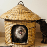 Casa natural para conejos y gatos