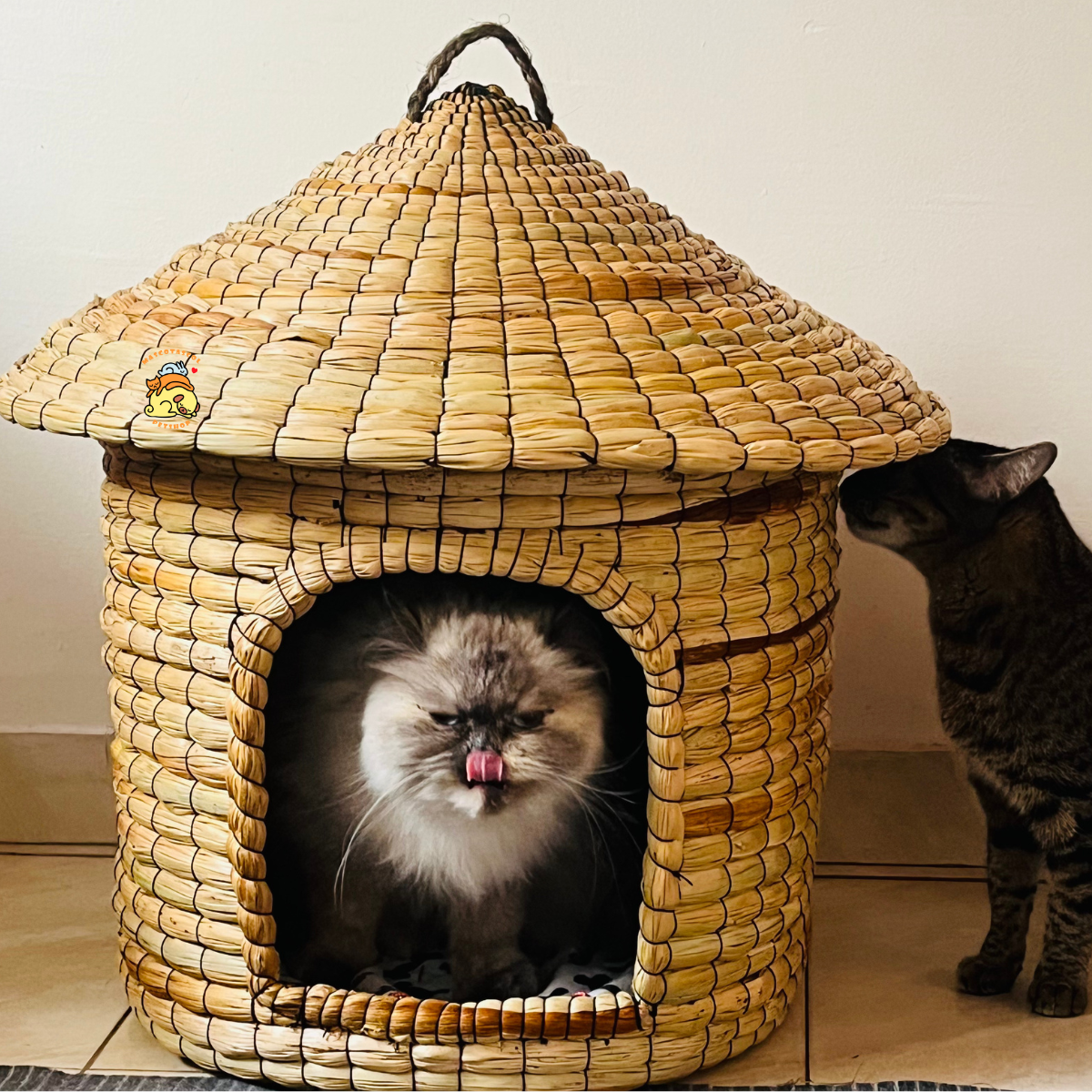 Casa natural para conejos y gatos