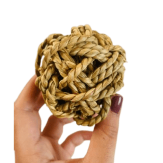 como desgasta los dientes mi conejo, que hago para que mi conejo no se coma las paredes