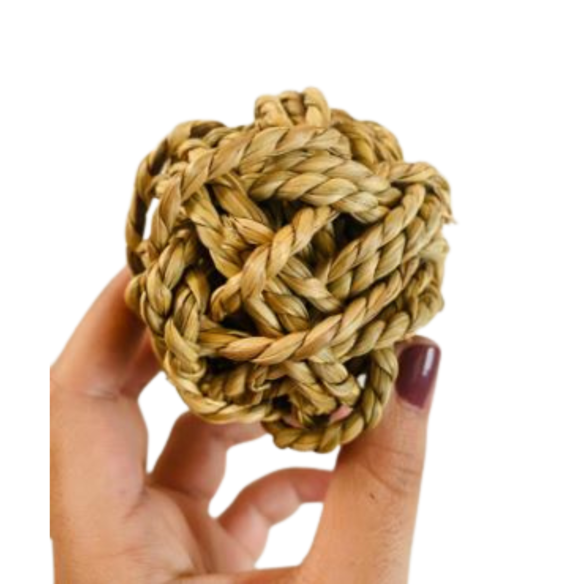 Pelotita para desgaste dental como desgasta los dientes mi conejo, que hago para que mi conejo no se coma las paredes