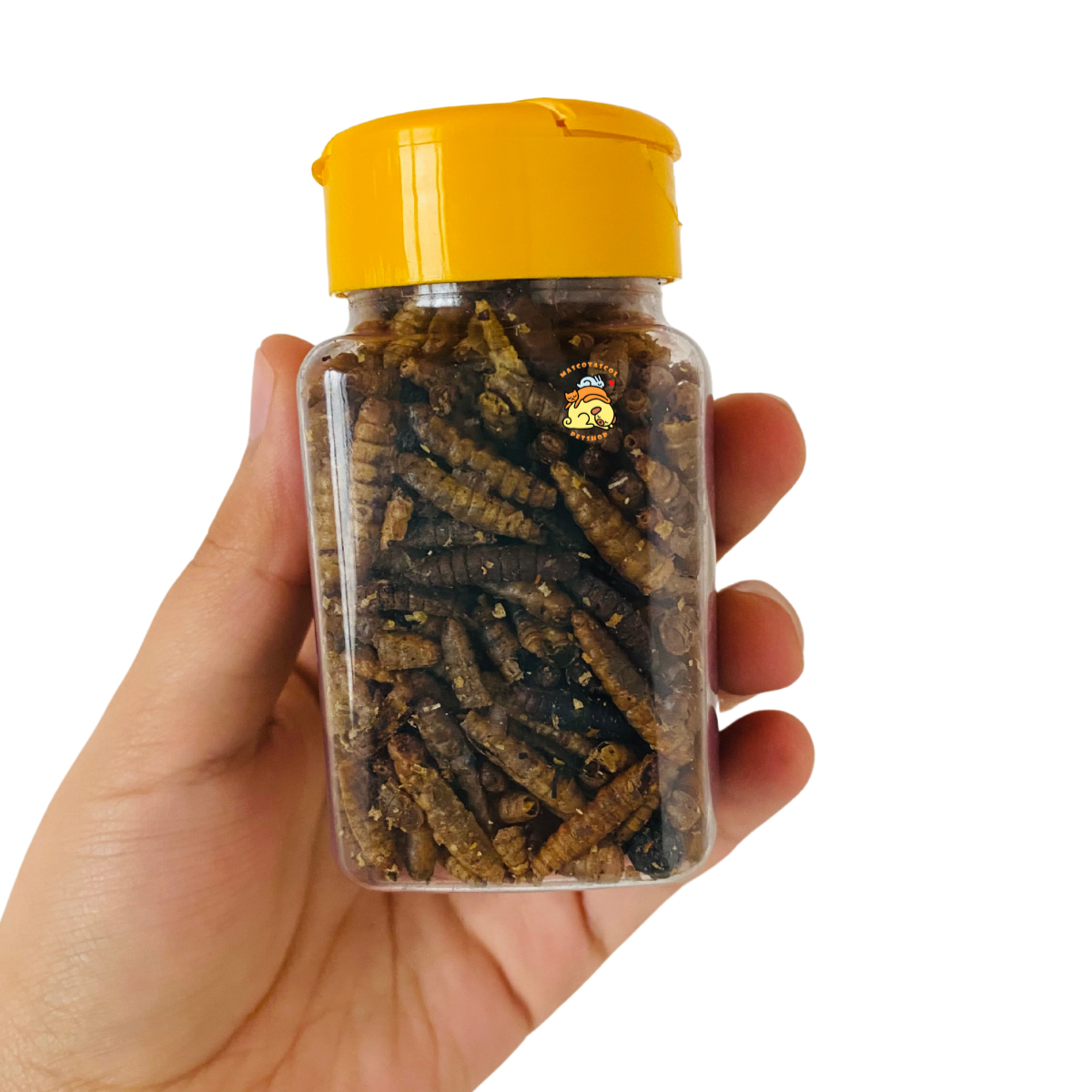 Tenebrios para hamster gusanos para hamster, tenebrios deshidratados hamster