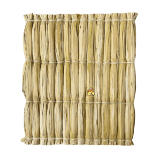 ayude desgaste dental mascotas