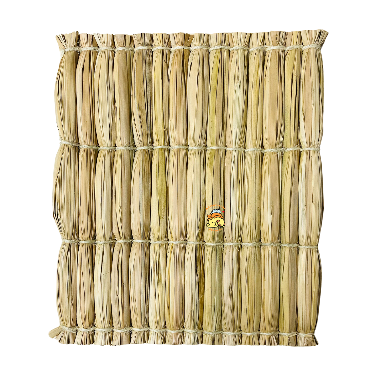 ayude desgaste dental mascotas